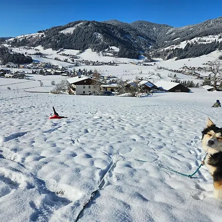 Steinerbauer *
