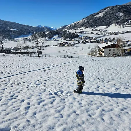 Çiftlik konaklama Steinerbauer Flachau