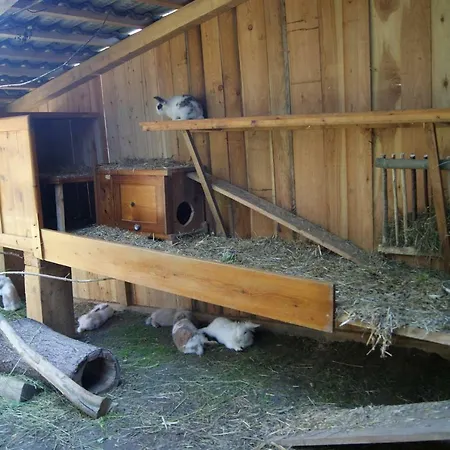 Steinerbauer フラッハウ