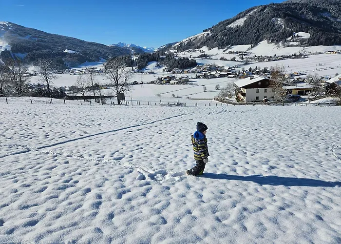 Farm stay Steinerbauer Flachau