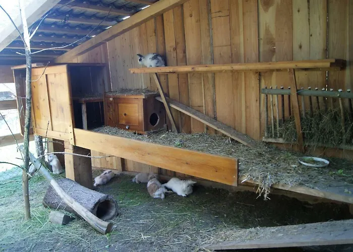 Steinerbauer Flachau