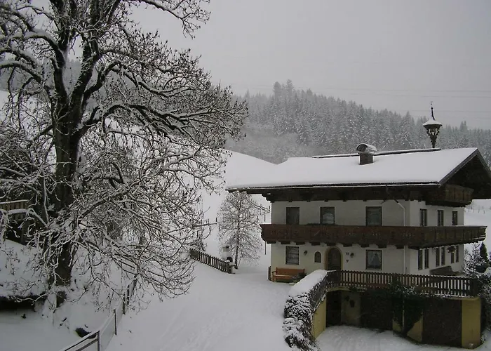 Steinerbauer * فلاخاو